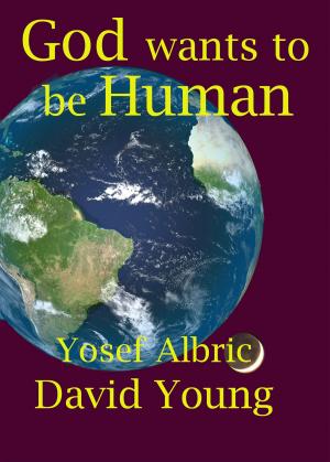 Book cover of God Wants to be Human