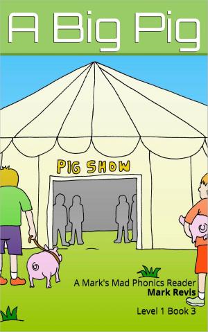 Cover of the book A Big Pig by Mark Revis