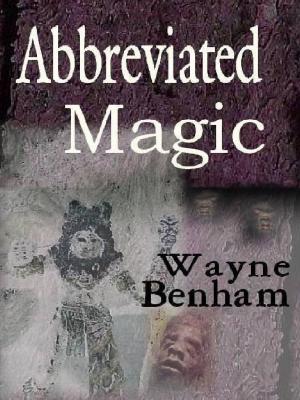 Book cover of Abbreviated Magic