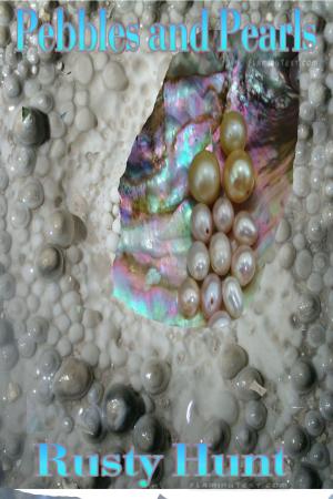 Cover of the book Pebbles and Pearls by Nino Bonaiuto