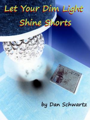 Book cover of Let Your Dim Light Shine Shorts