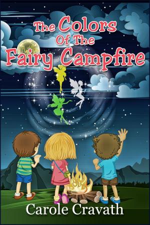 Book cover of The Colors of the Fairy Campfire