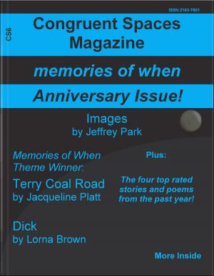 Cover of Congruent Spaces Magazine, Issue 6