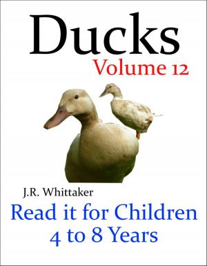 Book cover of Ducks (Read it book for Children 4 to 8 years)