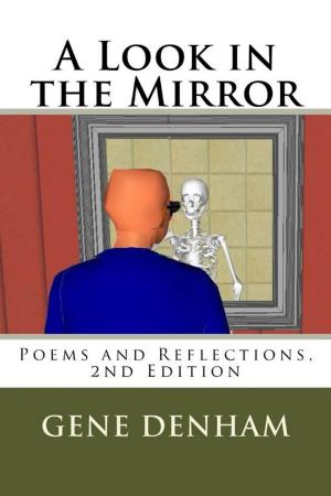 bigCover of the book A Look in the Mirror by 