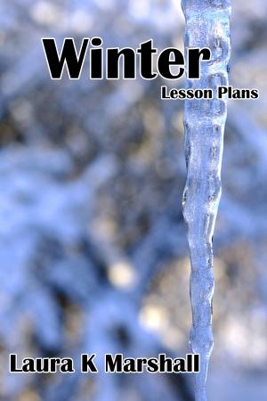 Cover of the book Winter by Laura K Marshall