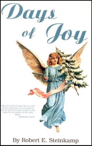 Cover of the book Days of Joy by Bob Steinkamp