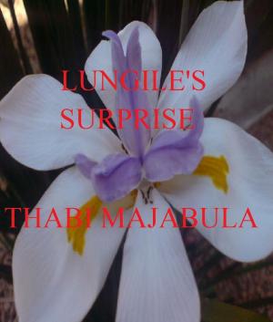 Cover of the book Lungile's Surprise by Michael Tavon