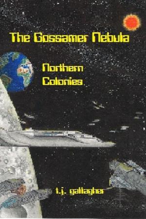 Book cover of The Gossamer Nebula
