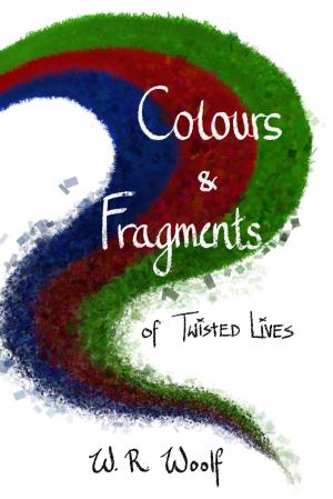 Cover of the book Colours and Fragments by Holly Cortelyou