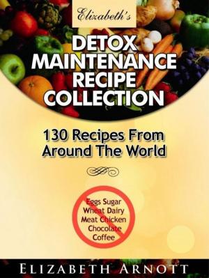 Cover of the book Detox Maintenance Recipe Collection: 130 Recipes From Around The World by Amanda Willemyns