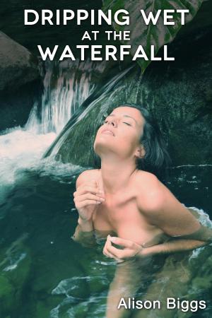 Cover of the book Dripping Wet at the Waterfall by SJ Welsted