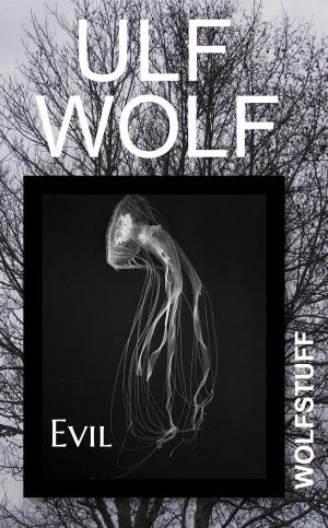 Cover of the book Evil by Ulf Wolf