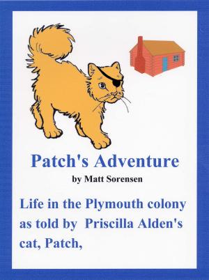 Cover of the book Patch's Adventure by Jo Goodman