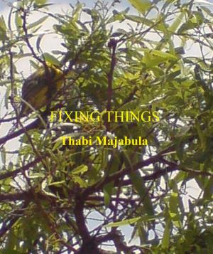 Cover of the book Fixing Things by Gerald Hansen