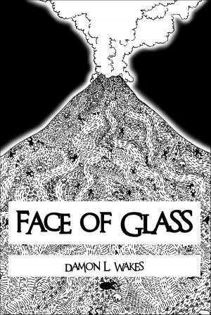 Cover of the book Face of Glass by A.E. Hodge