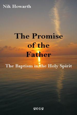Cover of the book The Promise of the Father by Richard Davidson