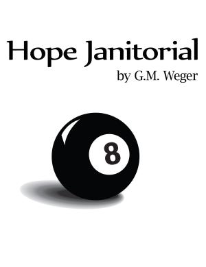 Cover of the book Hope Janitorial by RD Le Coeur