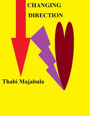Cover of the book Changing Direction by Thabi Majabula