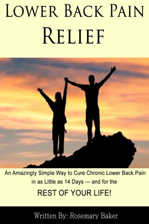 Cover of Lower Back Pain Relief: An Amazingly Simple Way to Cure Chronic Lower Back Pain in as Little as 14 Days — and for the REST OF YOUR LIFE!