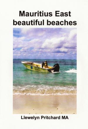 Book cover of Mauritius East beautiful beaches