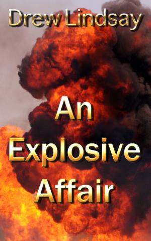 Cover of the book An Explosive Affair by Richard G Tomkies