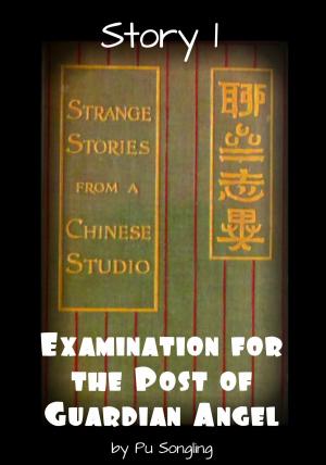 Book cover of Story 1: Examination for the Post of Guardian Angel