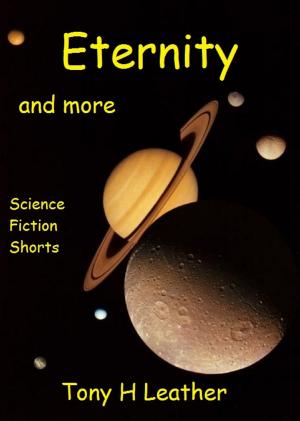 Cover of the book Eternity And More by J.A. Kazimer