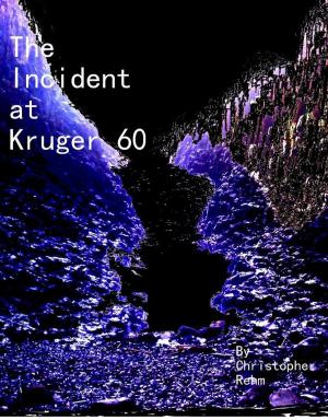 Cover of the book The Incident at Kruger 60, Part 1 by 布蘭登．山德森(Brandon Sanderson)