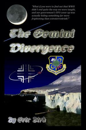 Cover of the book The Gemini Divergence by John J Kelley