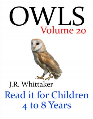 Book cover of Owls (Read it book for Children 4 to 8 years)