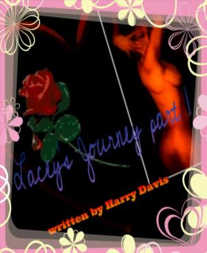 bigCover of the book Lacey's Journey part 1 by 