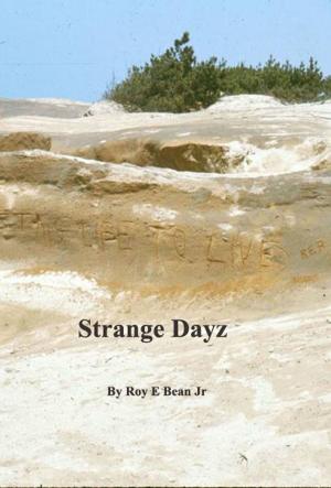 Book cover of Strange Dayz