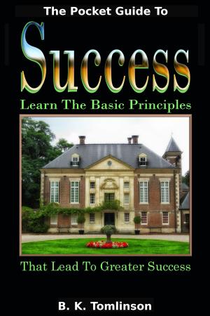 Cover of The Pocket Guide To Success