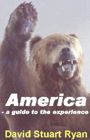 Book cover of America: a guide to the experience