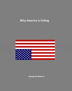 bigCover of the book Why America Is Failing by 