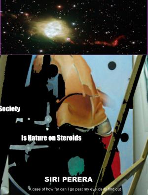 Cover of the book Society Is Nature On Steroids by Chinedu Akaah
