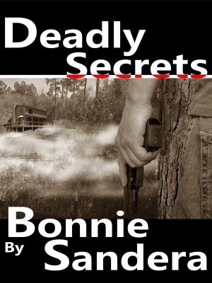 Cover of the book Deadly Secrets by Martin Barkawitz
