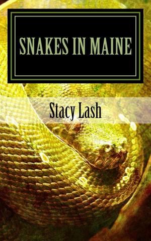 Cover of the book Snakes in Maine by Elaine D Walsh