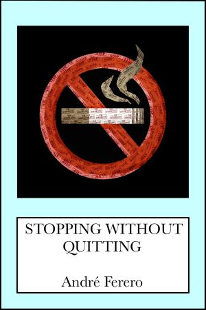 bigCover of the book Stopping Without Quitting by 