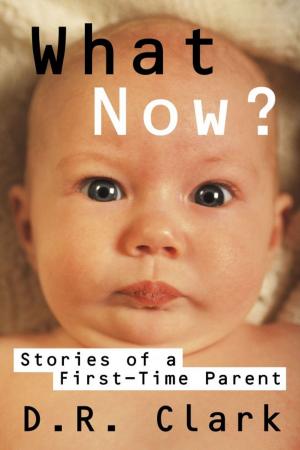 Book cover of What Now? Stories of a First-Time Parent