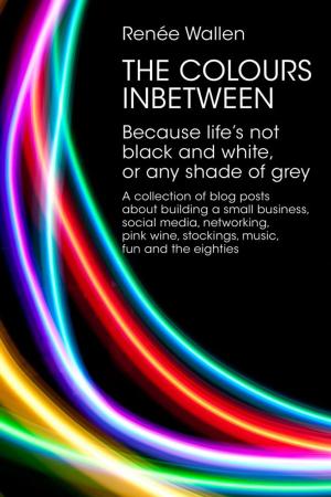 bigCover of the book The Colours Inbetween by 