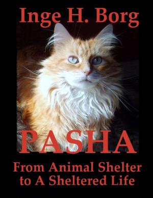 Cover of the book Pasha, From Animal Shelter to A Sheltered Life by Jenny Bond