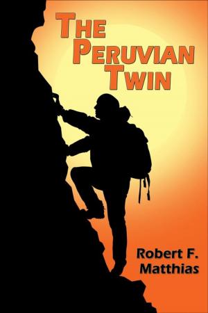 Book cover of The Peruvian Twin