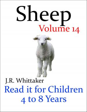 Cover of the book Sheep (Read it book for Children 4 to 8 years) by J. R. Whittaker