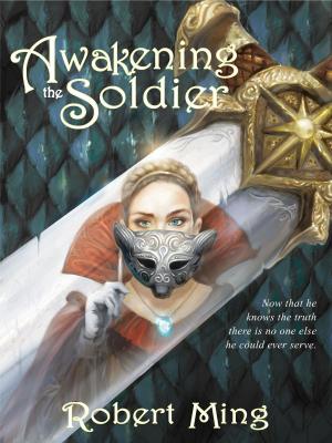 bigCover of the book Awakening the Soldier by 