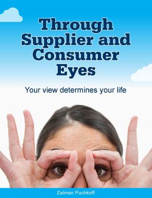 Book cover of Through Supplier and Consumer Eyes