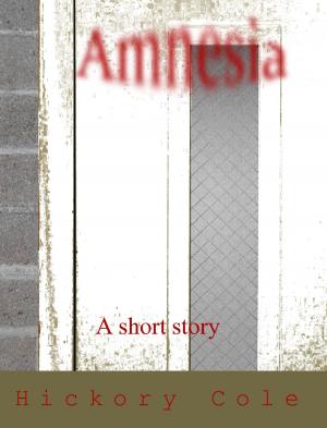 Cover of the book Amnesia by Pj Belanger
