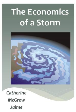 Cover of the book The Economics of a Storm by Catherine McGrew Jaime