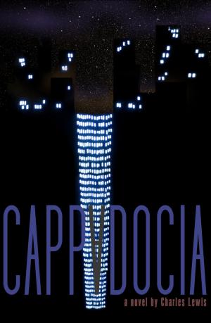 Cover of the book Cappadocia by Ken Poyner